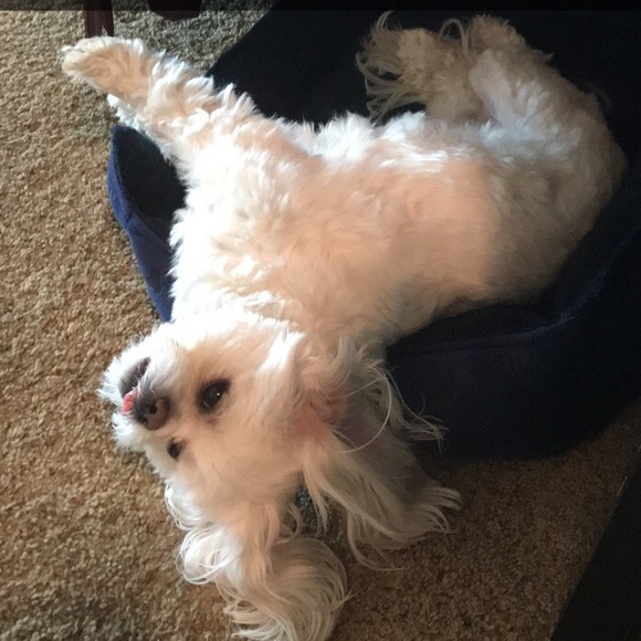 Have questions want to chat? Comment here - Picture 2 of 3